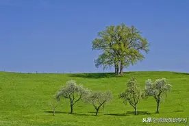 英语原版阅读：Grasslands图片