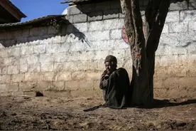 莫言笔下的中国农村贫穷与饥荒，有多悲惨？不仅是啃树皮，吃野菜图片