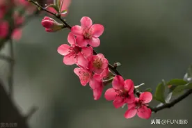 玩摄影不知道背景如何取景？专业摄影师教你8个摄影背景取景技巧图片