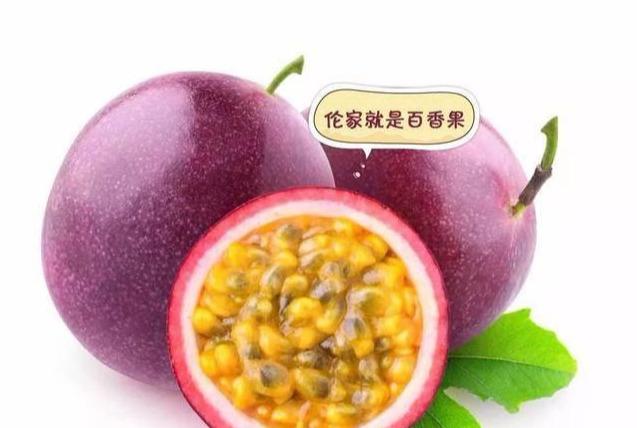 含人体必需的17种氨基酸，维C是苹果的8倍，维E更是橙子的15倍！