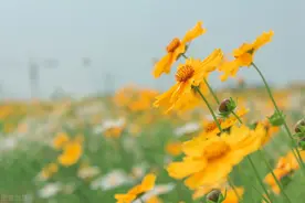 找不到答案的时候，就去看一看世界图片