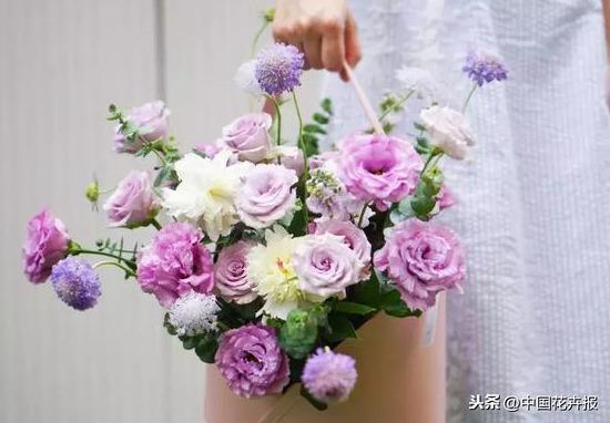 除了康乃馨，母亲节送给妈妈的花还有很多，这篇文章告诉你！