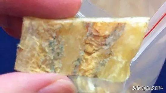 花胶和发霉的药材放一起了 2026年花胶发霉了还能吃吗