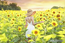 点评12张向日葵美女照，4句口诀详解摄影套路，新手请收好图片