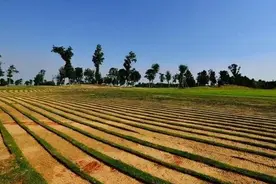 农村土地，村民不同意的情况下，村委会可以直接出租吗？图片