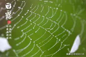 农村俗语：“白露水，赛砒霜；立冬水，似蜜糖”是啥意思？图片