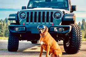 经典硬派—2020款牧马人撒哈拉2.0T 硬顶四门版  实拍解析图片