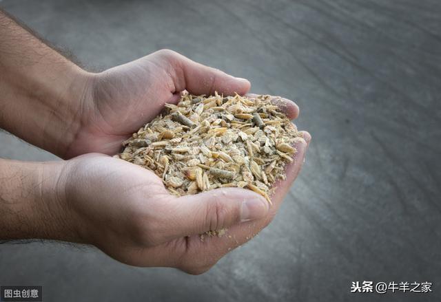 在育肥牛饲料中添加蛋白质，加快增重速度，加多少合适？