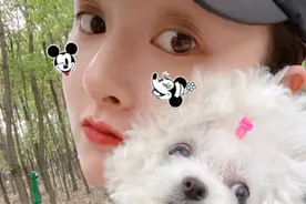 宋祖儿怀抱爱犬比美“哈尼”额头扎小辫儿眼睛圆圆超可爱图片