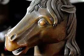 马首回家，龙蛇羊鸡狗下落不明，十二生肖兽首何时团聚。图片