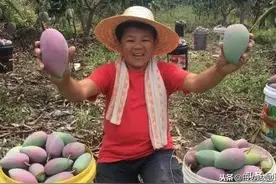 小六本是低保户，做自媒体三年营业额过千万元，成功原因有这三点图片