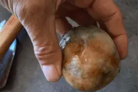 河边捡到这些石头，可要看仔细，个个价值都不低图片