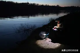 初春夜钓没有口？夜钓“宝典”敬上，帮你轻轻松松撬开鱼嘴图片