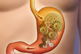米饭和面食哪个更养胃？若是选择错误，胃病或会更严重图片