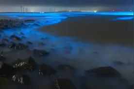 夜空下才有的美景-大海的蓝色眼泪图片
