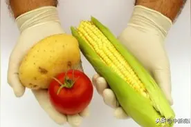 身边有哪些转基因食品？教你认识常见的转基因食品图片