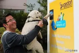 流浪动物自动喂食器？一个废水瓶换20克口粮，这设计也太有爱了图片