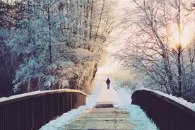 双语阅读：Chase your dreams | 追寻你的梦想图片