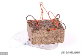 中国渔政亮剑2020，爆炸钩、翻版钩、串钩、珠珠钓还能玩了吗？图片