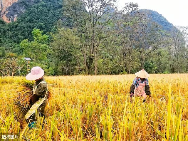 閲嶅簡涓囨宸ㄤ赴锛氳疮褰荤豢鑹插彂灞曠悊蹇?鍋氬ぇ鍋氬己鏈夋満鑲ュ搧鐗? onerror=