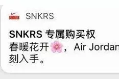 愚人节不愚人！SNKRS 专属突袭海量鞋款，双双重磅！图片