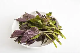 21种常见中药功效作用与禁忌误区汇总｜每天学一味中药7月合集图片