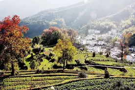 「郭进拴原创长篇纪实」《命运》之《第五章 乡村趣事》图片