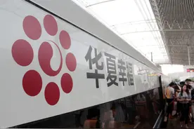华夏幸福首次承认“爆雷”：已有52亿债务逾期 可动用资金仅8亿图片