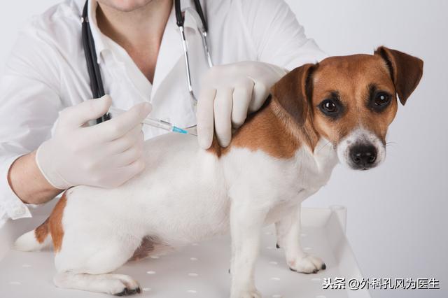 感染上狂犬病病毒，一旦发病，生存期不超过5天，几乎100%死亡