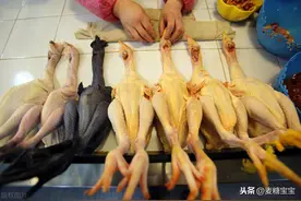 市场上杀好的鸡怎么挑选？鸡肉是否新鲜？这些小妙招你都知道吗？图片