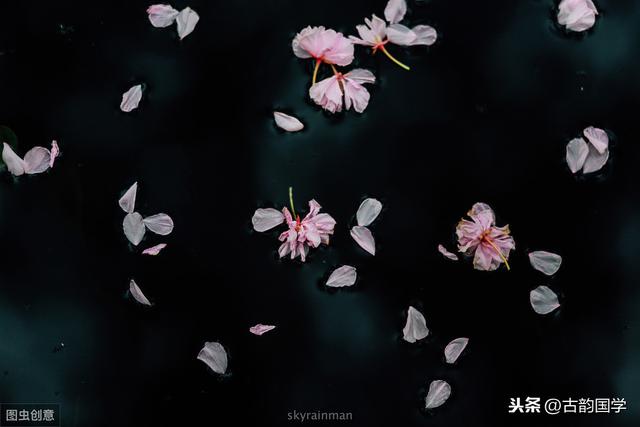 30首最美落花古诗词，美的不同凡响，让你从暮春看到初夏