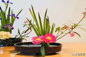 一花一世界，一叶一菩提，一方一净土，一笑一尘缘，一念一清静图片