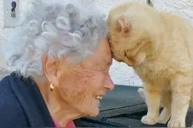 老奶奶的爱猫在地震中走失，4年后终于重逢，画面把人融化图片
