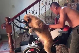 老爸喝醉酒以为没啥事，过了会去看却不知说啥了：属实让人心疼图片