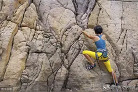 留得青山在 也怕没柴烧图片