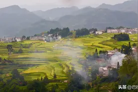 散文：秋虫是醒着的梦图片