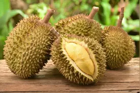 秋天榴莲熟透，买上一个做成榴莲酥，方法简单，味道不输外面卖的图片