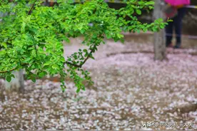 肾为先天之本，如何科学地恢复肾虚？图片
