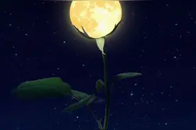 PS合成教程：一朵梦幻极具创意的玫瑰花月亮图片
