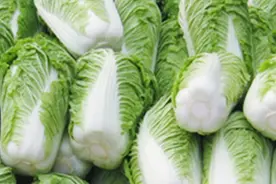 农户：夏季温度高，可以种什么菜？这几款耐热蔬菜种，可以试下图片