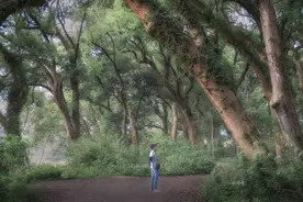 第一个目标：将兴趣爱好变成自己的工作图片