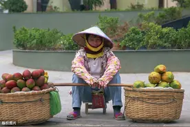 芒果能不能提前催花？提前催花的要求有哪些？有以下几点提醒大家图片