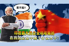 印度最大的企业塔塔集团，在我国企业中属于什么水平？图片