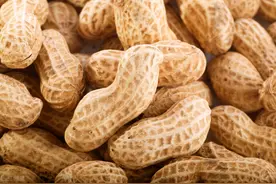 花生被誉为民间的“长寿果”,医生提醒：这5种人尽量不要碰图片