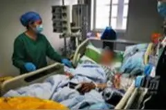最快1.5小时可致死！男子吃这鱼中毒直送ICU，医生：无解药图片