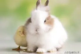 你总对他说：“要照顾好自己呀”，傻瓜，要照顾好自己的是你呀图片