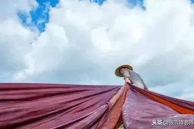 张雪峰讲高考:"衣食住行"它凭啥排第一?论就业率,这个专业服过谁?图片