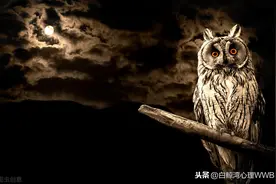 早上起不来，是由你的基因决定的图片