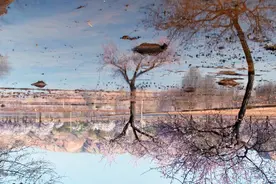 虎头蛇尾，这4大生肖总是晚节不保？胜不骄败不馁，真的很难？对图片