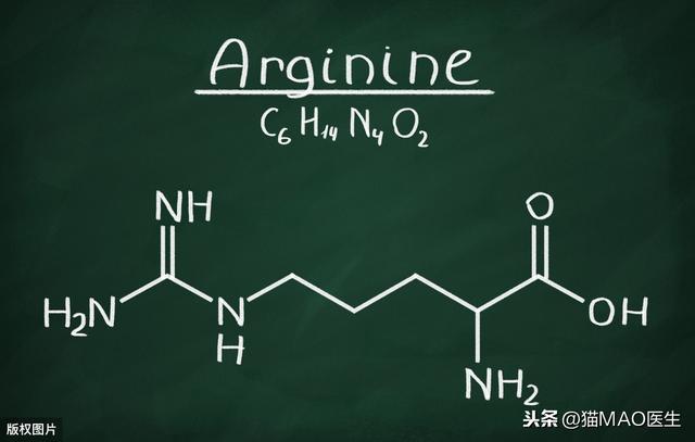 猫咪必需从肉类获取的两种氨基酸，一旦缺乏，将影响猫多功能